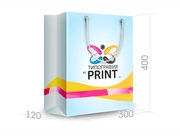 заказать печать Бумажный пакет тираж 400 штук вертикальный А3 формата , размер 300x400x120 мм, бумага 200 г/м² + с ламинацией, установка люверсов и ручки-шнурка